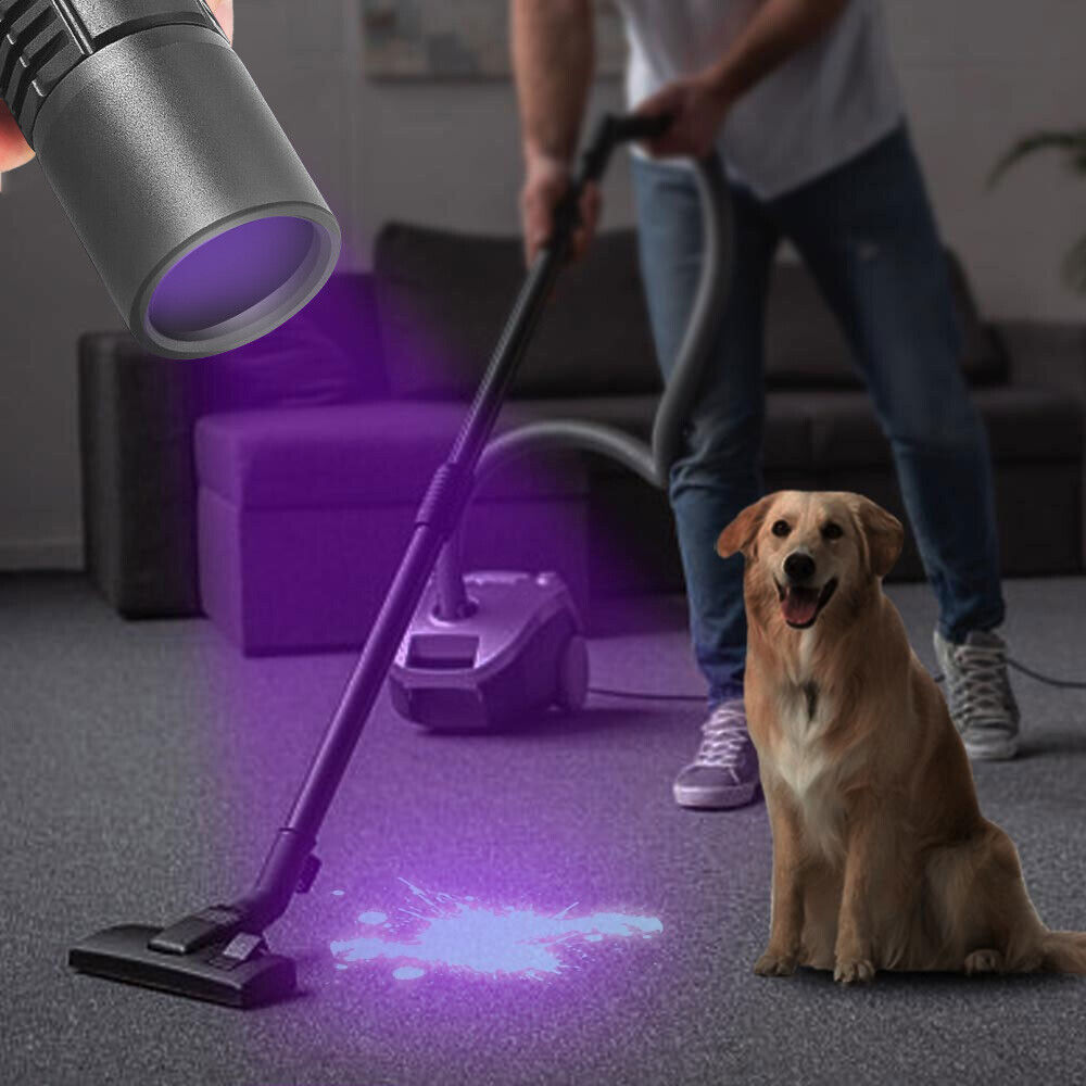 UV LED Flashlight Blacklight 365Nm LED Torch
