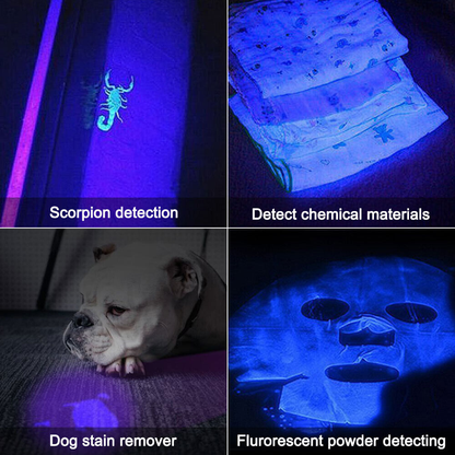 UV LED Flashlight Blacklight 365Nm LED Torch