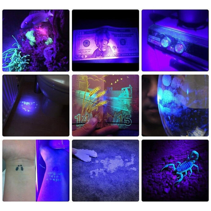 UV LED Flashlight Blacklight 365Nm LED Torch