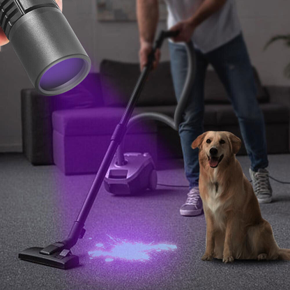 UV LED Flashlight Blacklight 365Nm LED Torch