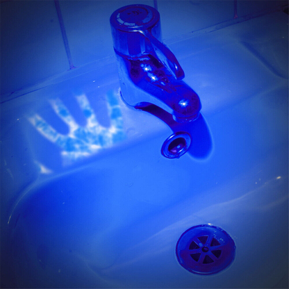 UV LED Flashlight Blacklight 365Nm LED Torch